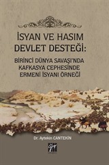 İsyan ve Hasım Devlet Desteği: Birinci Dünya Savaşı'nda Kafkasya Cephesinde Ermeni İsyanı Örneği