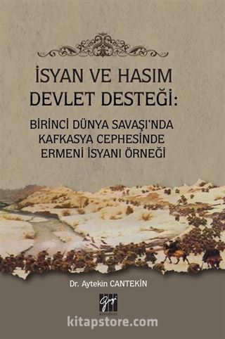 İsyan ve Hasım Devlet Desteği: Birinci Dünya Savaşı'nda Kafkasya Cephesinde Ermeni İsyanı Örneği