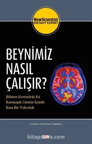 Beynimiz Nasıl Çalışır?