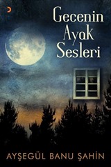 Gecenin Ayak Sesleri