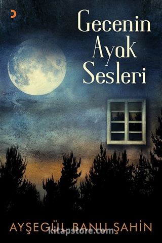 Gecenin Ayak Sesleri