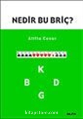 Nedir Bu Briç?