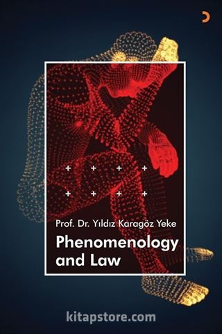 Phenomenology and Law