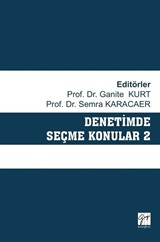 Denetimde Seçme Konular 2