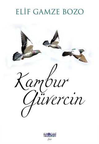 Kambur Güvercin