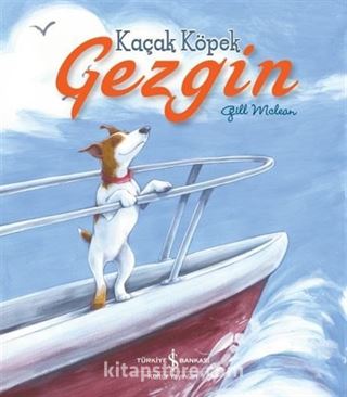 Kaçak Köpek Gezgin