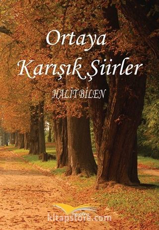 Ortaya Karışık Şiirler