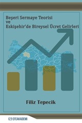 Beşeri Sermaye Teorisi ve Eskişehir'de Bireysel Ücret Gelirleri