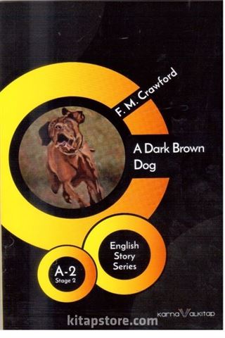 A Dark Brown Dog