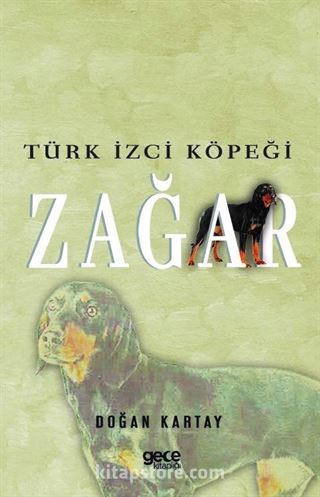 Türk İzci Köpeği Zağar