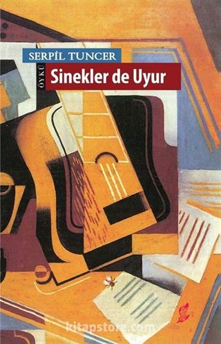 Sinekler de Uyur