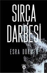 Sırça Darbesi