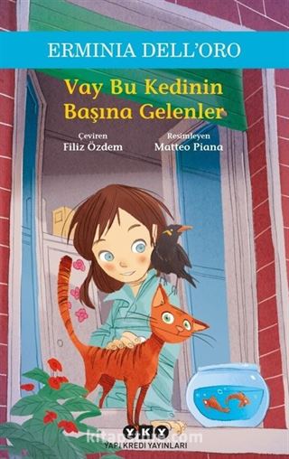 Vay Bu Kedinin Başına Gelenler