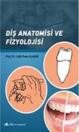 Diş Anatomisi ve Fizyolojisi