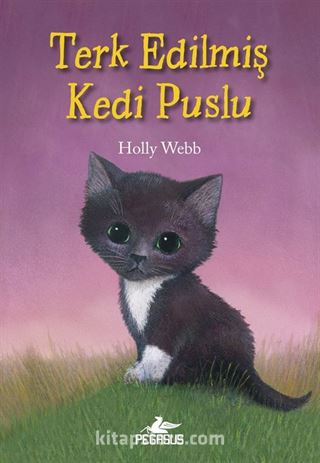 Terk Edilmiş Kedi Puslu