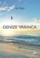 Denize Varınca