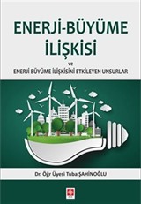 Enerji-Büyüme İlişkisi ve Enerji Büyüme İlişkisini Etkileyen Unsurlar