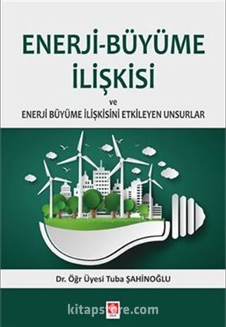 Enerji-Büyüme İlişkisi ve Enerji Büyüme İlişkisini Etkileyen Unsurlar