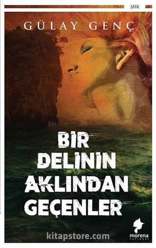 Bir Delinin Aklından Geçenler