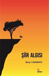 Şiir Algısı