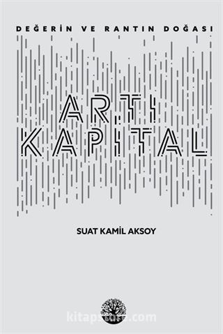 Artı Kapital