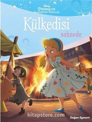 Disney Prensesleri Bilinmeyen Öyküler