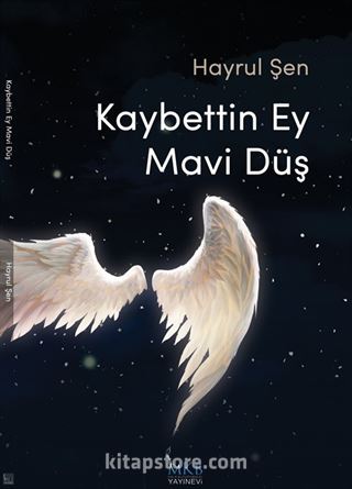 Kaybettin Ey Mavi Düş