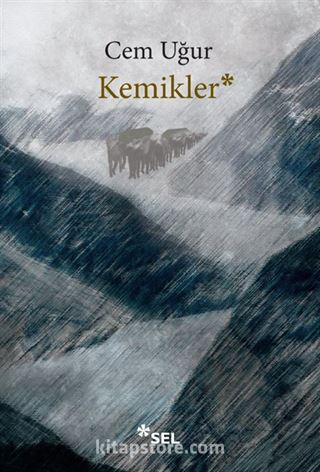 Kemikler