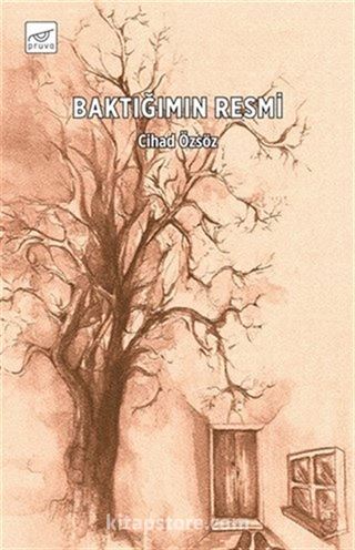 Baktığımın Resmi