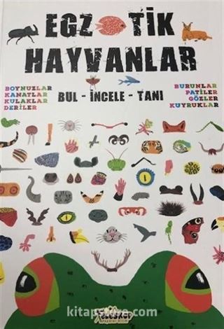 Egzotik Hayvanlar / Bul-İncele-Tanı