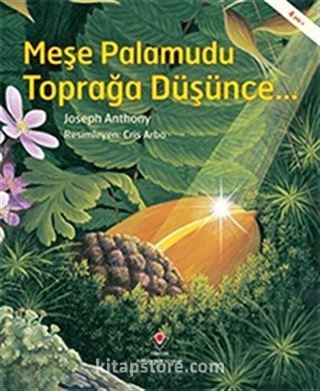 Meşe Palamudu Toprağa Düşünce...