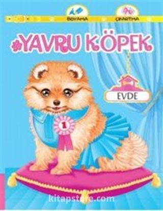 Yavru Köpek Evde