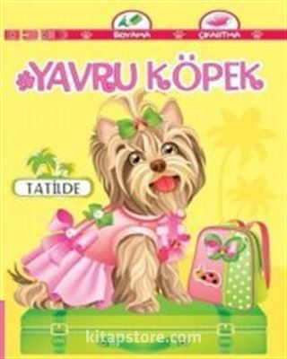 Yavru Köpek Tatilde