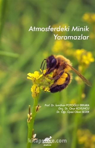 Atmosferdeki Minik Yaramazlar