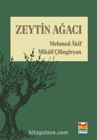 Zeytin Ağacı