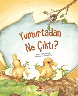 Yumurtadan Ne Çıktı?