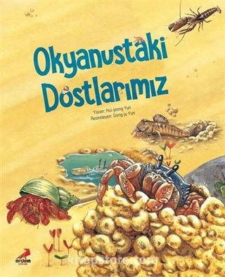 Okyanustaki Dostlarımız