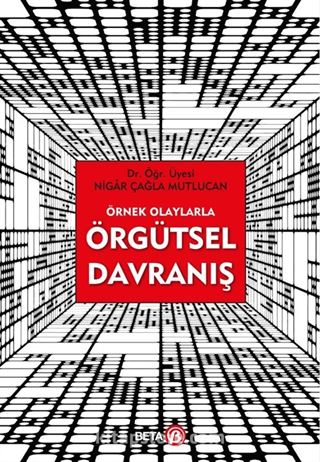 Örnek Olaylarla Örgütsel Davranış