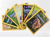 National Geographic Kids Okul Öncesi Set (7 Kitap)