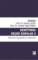 Denetimde Seçme Konular 3