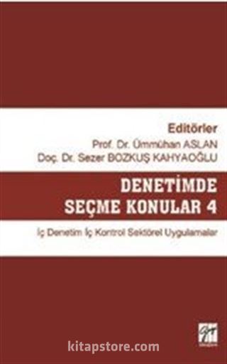 Denetimde Seçme Konular 4