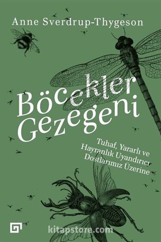 Böcekler Gezegeni