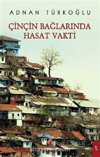 Çinçin Bağlarında Hasat Vakti