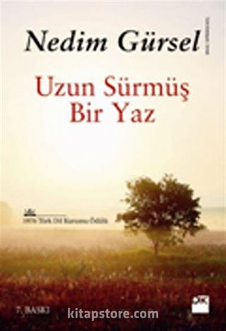 Uzun Sürmüş Bir Yaz