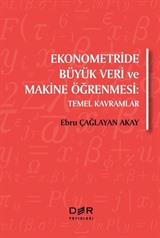 Ekonometride Büyük Veri ve Makine Öğrenmesi :Temel Kavramlar