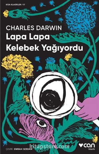 Lapa Lapa Kelebek Yağıyordu (Kısa Klasik)