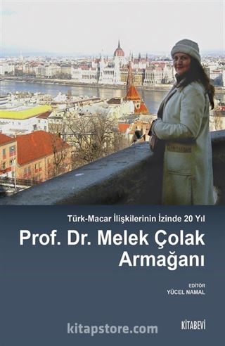 Türk-Macar İlişkilerinin İzinde 20 Yıl