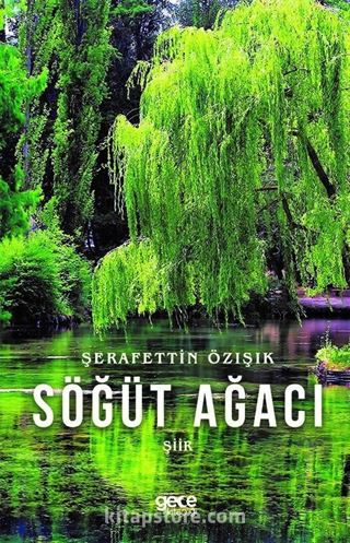 Söğüt Ağacı