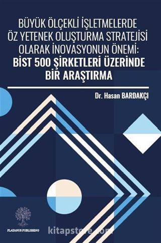 Büyük Ölçekli İşletmelerde Öz Yetenek Oluşturma Stratejisi Olarak İnovasyonun Önemi: Bist 500 Şirketleri Üzerinde Bir Araştırma