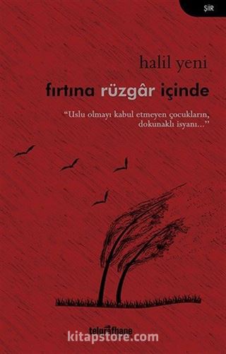 Fırtına Rüzgar İçinde